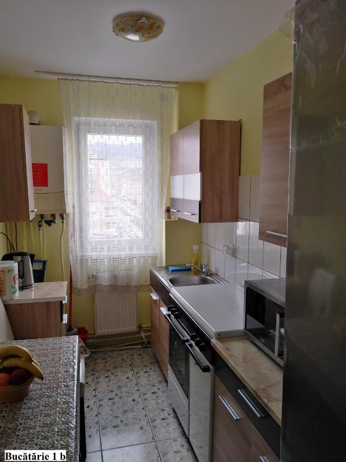 Apartament Salina Bulevard Alba Iulia Eksteriør bilde