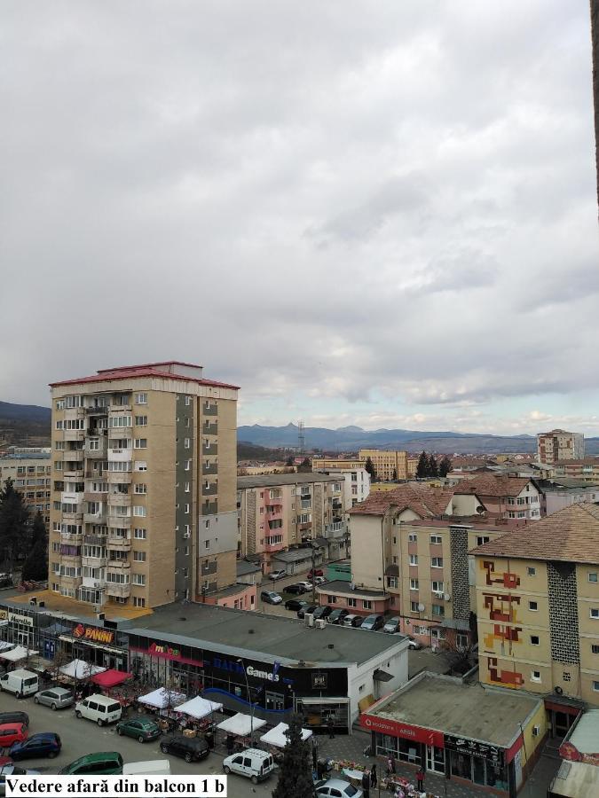 Apartament Salina Bulevard Alba Iulia Eksteriør bilde